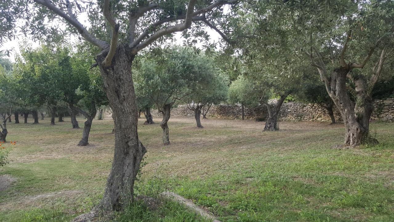 Serra E Mesu Affittacamere Magomadas Exteriör bild